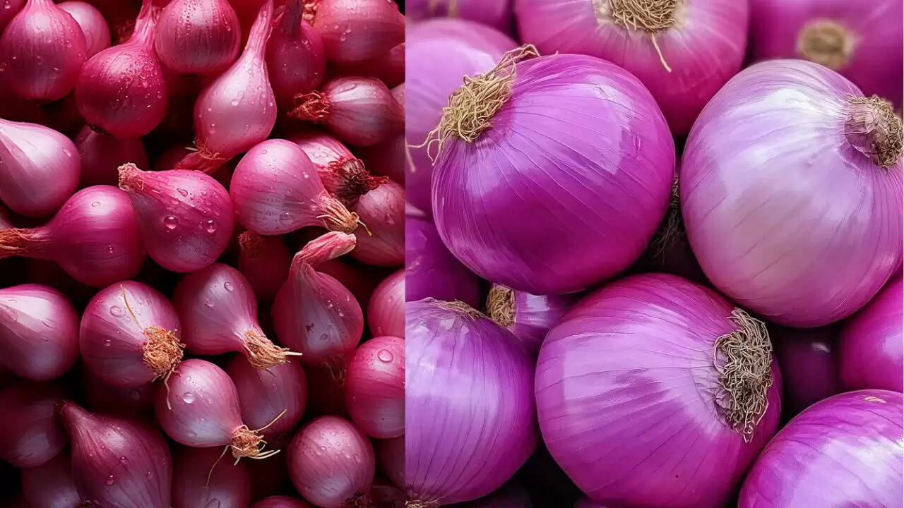 प्याज को सुरक्षित रखने के लिए प्रभावी तरीके
