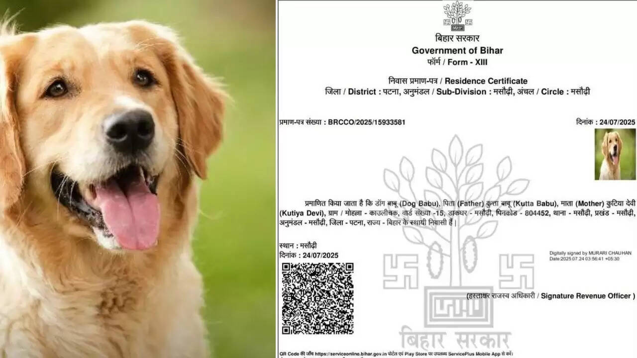पटना में कुत्ते के नाम पर जारी हुआ आवासीय प्रमाण पत्र, प्रशासन में हड़कंप
