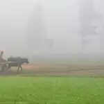 हरियाणा में मौसम में बदलाव: पश्चिमी विक्षोभ का असर