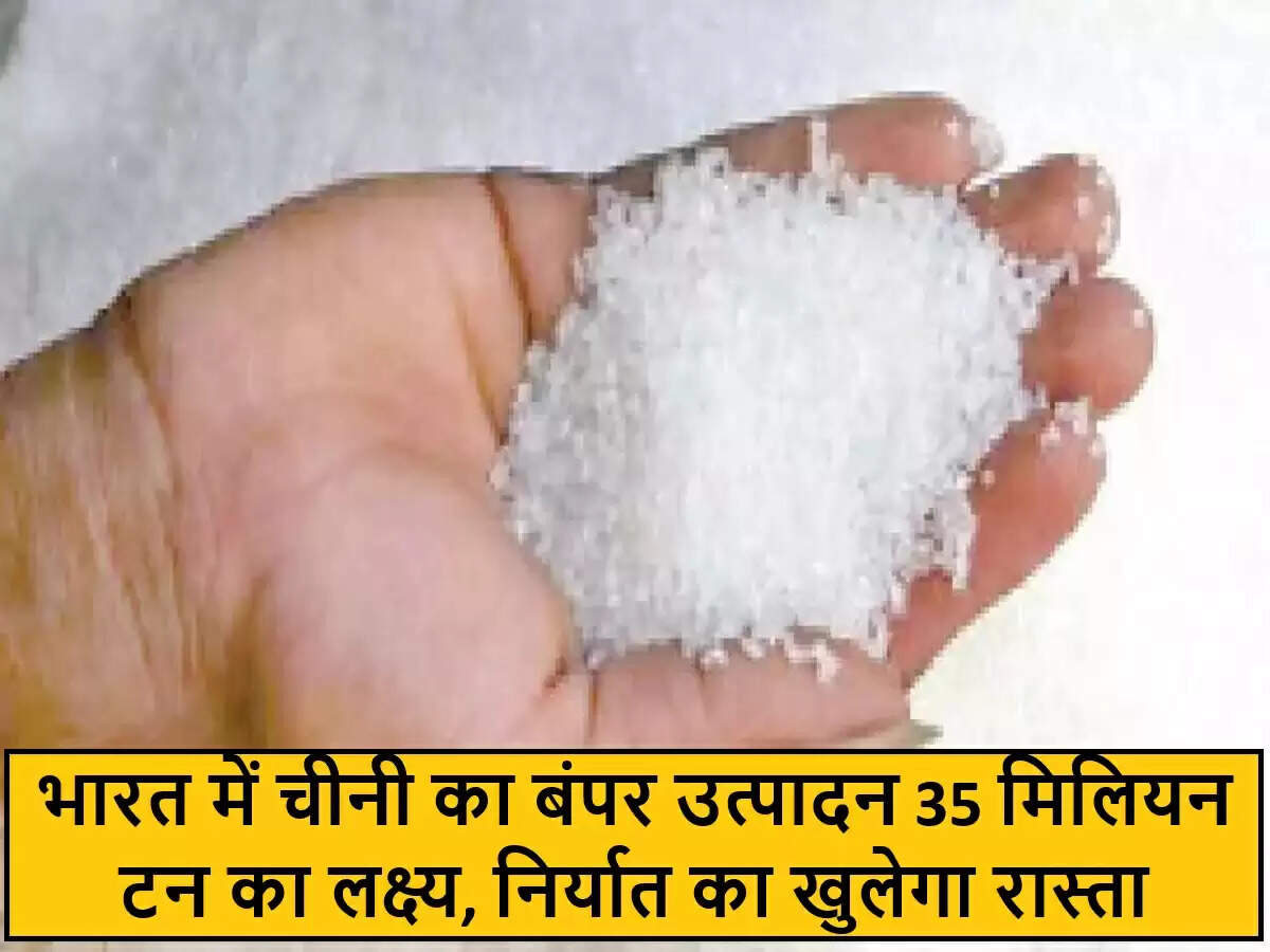 भारत में चीनी उत्पादन में 15% की वृद्धि का अनुमान, निर्यात की उम्मीदें बढ़ीं