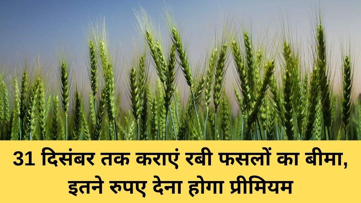 हरियाणा के किसानों के लिए फसल बीमा योजना की नई समय सीमा