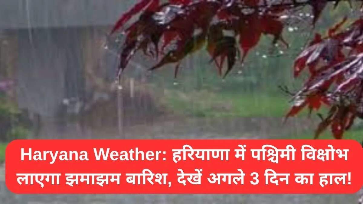 हरियाणा में मौसम में बदलाव: बारिश की संभावना