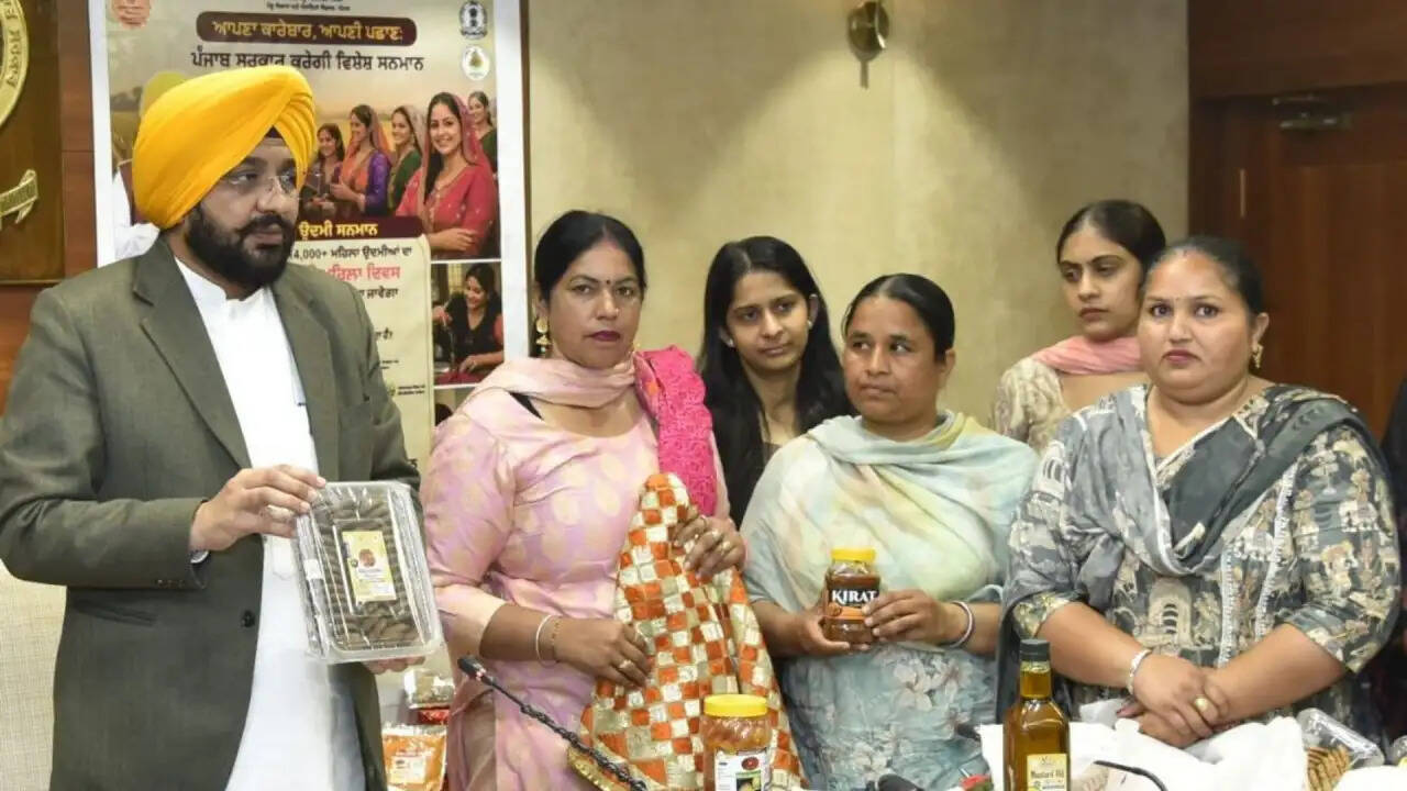 पंजाब सरकार का ऐतिहासिक कदम: 14,100 महिला उद्यमियों को मिलेगा सम्मान