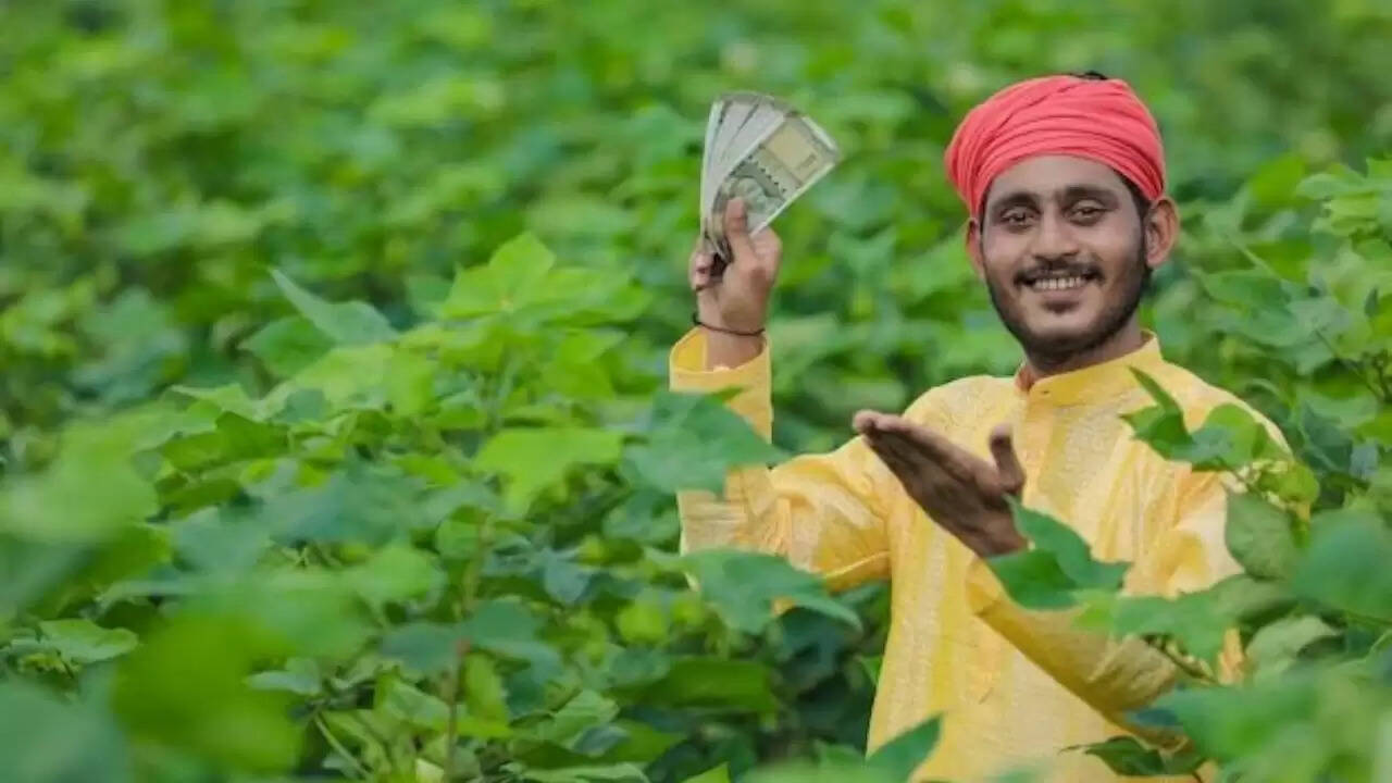 उत्तर प्रदेश में बायो जेट ईंधन के लिए नई पहल से किसानों को होगा लाभ