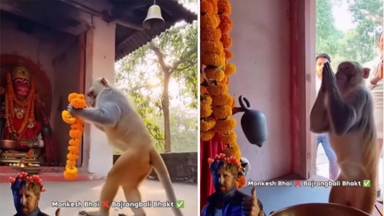 सोशल मीडिया पर वायरल हुआ बंदर का भक्ति भाव, जानें क्या है इस वीडियो में खास
