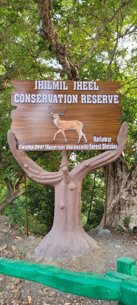 पर्यटकों की पसंद बना हरिद्वार का झिलमिल झील संरक्षण रिजर्व