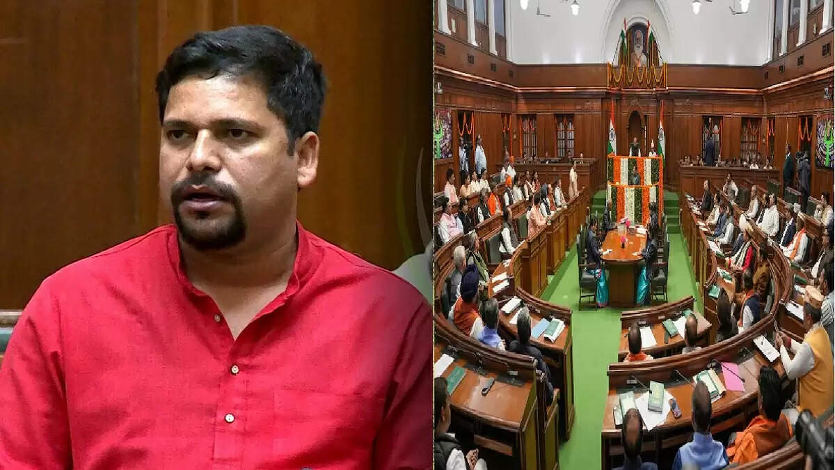 दिल्ली विधानसभा से बाहर निकाले गए आप विधायक संजीव झा