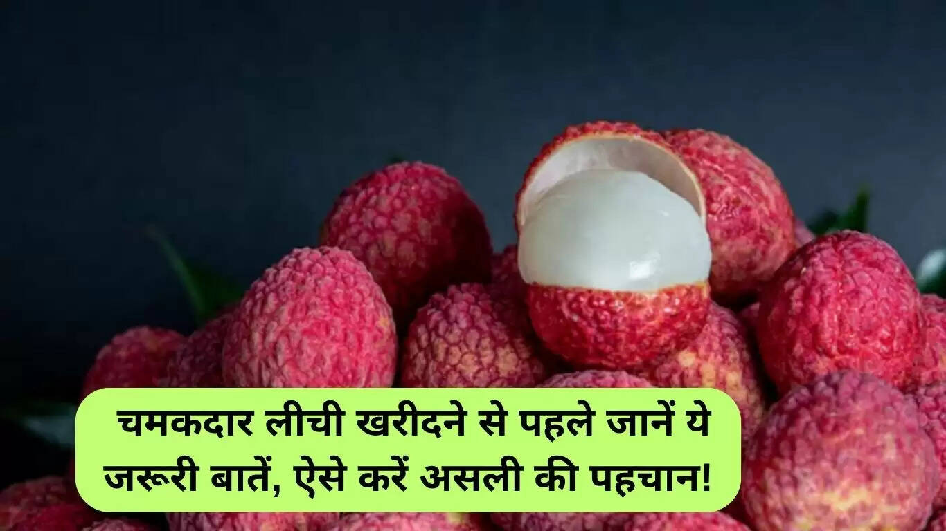 लीची खरीदने से पहले जानें ये सुरक्षा टिप्स: असली और नकली लीची की पहचान कैसे करें
