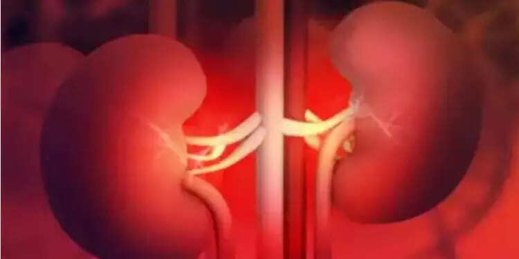 किडनी फेलियर के कारण: जानें आपकी कौन सी आदतें कर रही हैं नुकसान