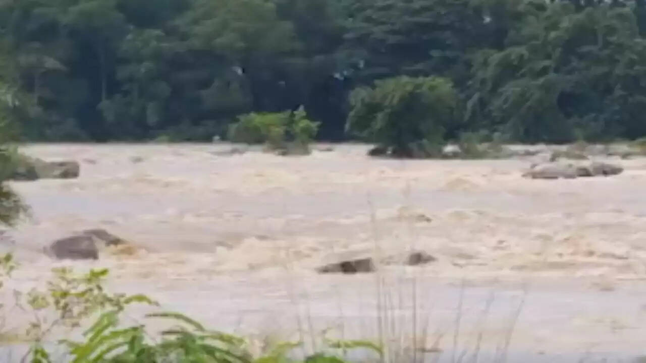 ओडिशा में भारी बारिश से जनजीवन प्रभावित, भूस्खलन और बाढ़ का खतरा