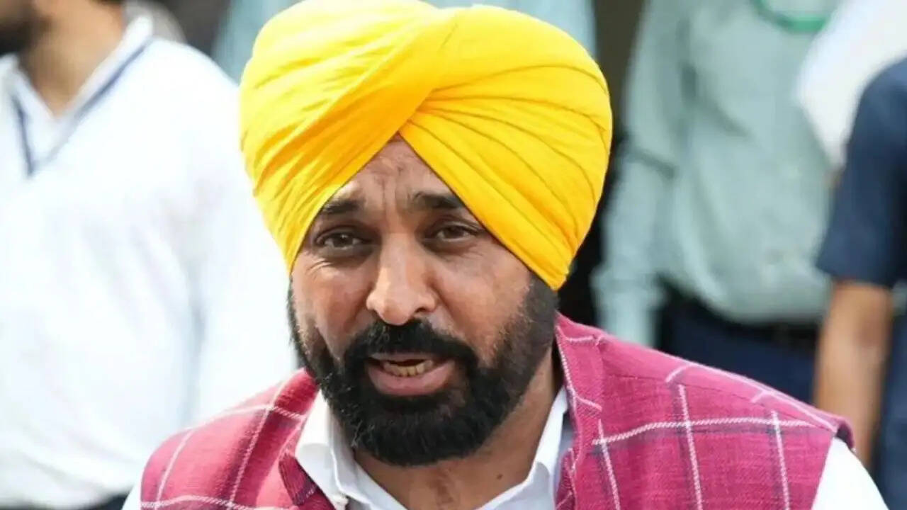 पंजाब के मुख्यमंत्री भगवंत मान ने वायरल वीडियो पर उठाए सवाल