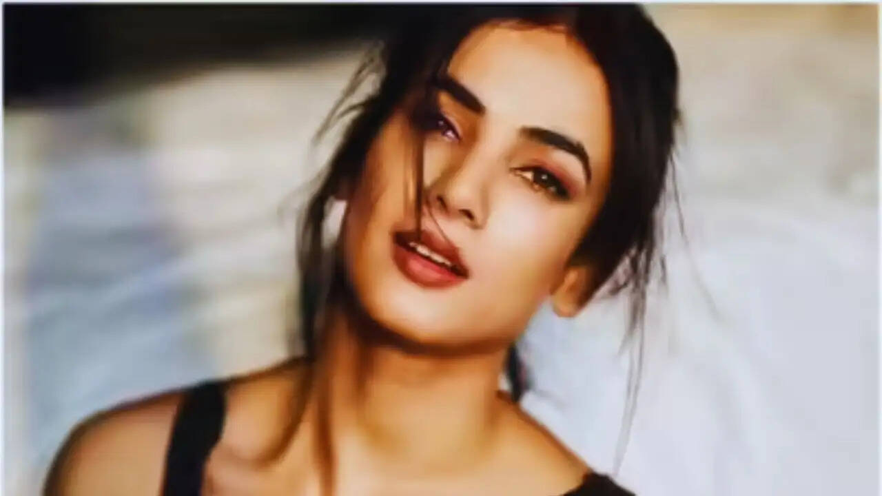 दुबई में फंसी सोनल चौहान: प्रधानमंत्री से मदद की अपील