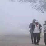 हरियाणा में ठंड का कहर: 7 जिलों में शीतलहर का येलो अलर्ट