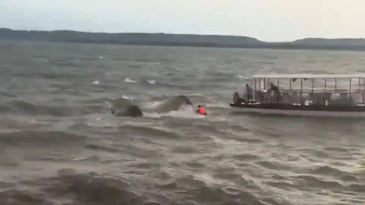 जबलपुर में बरगी बांध में क्रूज डूबने की घटना