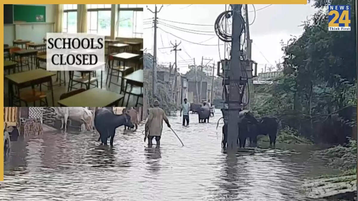 हरियाणा के रोहतक में बारिश के कारण स्कूल बंद, ऑरेंज अलर्ट जारी