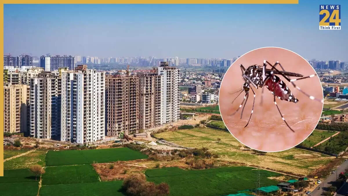 डेंगू और मलेरिया का बढ़ता खतरा: ग्रेटर नोएडा में स्वास्थ्य विभाग की कार्रवाई