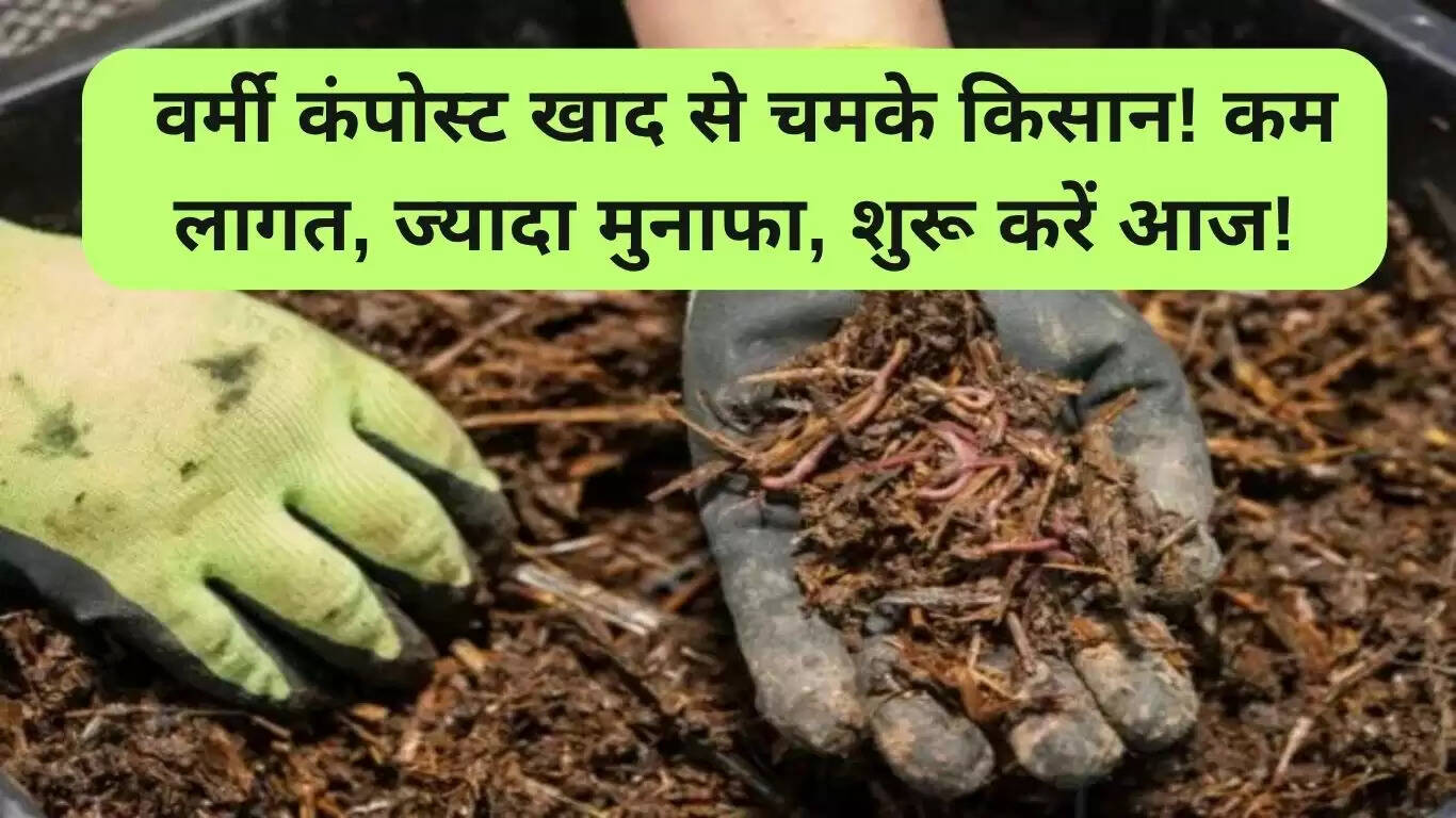 वर्मी कंपोस्ट खाद: युवा किसान की सफलता की कहानी