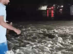 हरियाणा में मारकंडा और यमुना नदियों का उफान, स्कूल बंद और एसडीआरएफ तैनात