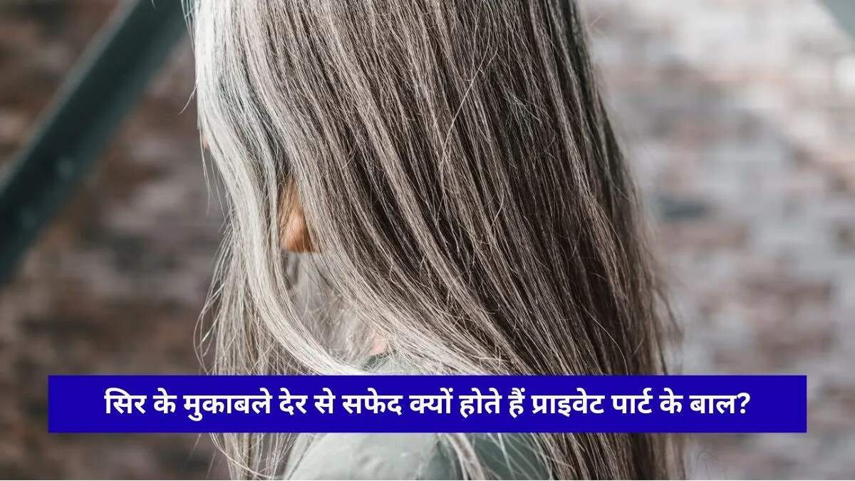बालों के सफेद होने के पीछे के कारण: प्राइवेट पार्ट्स के बाल क्यों नहीं होते जल्दी सफेद?
