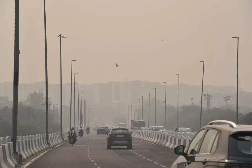 क्या हम मनुष्य और पशु के बीच का अंतर भूल गए हैं?