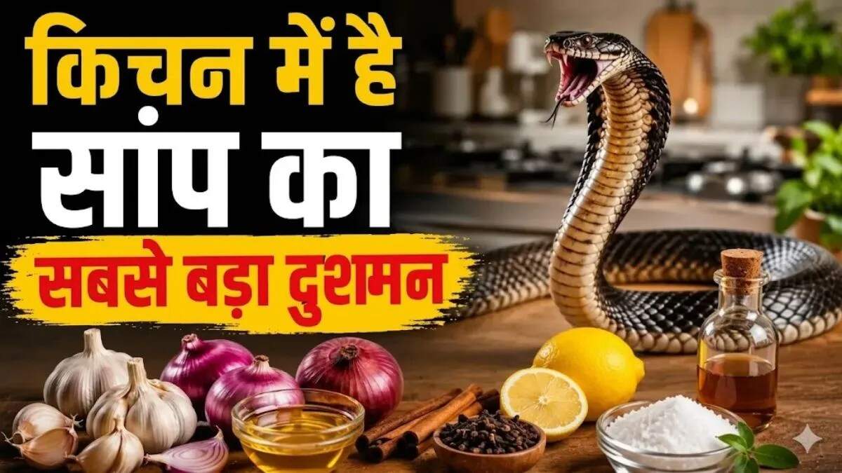 गर्मी में सांपों से बचने के घरेलू उपाय