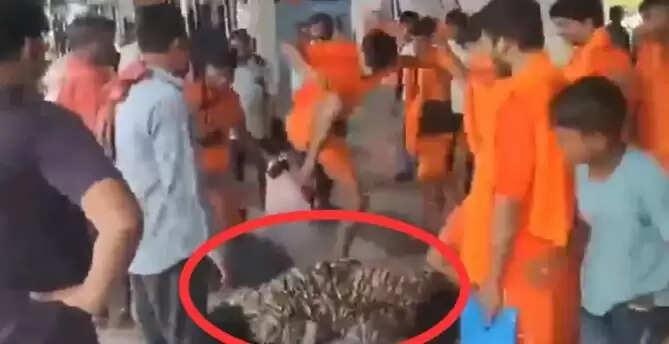 मिर्जापुर रेलवे स्टेशन पर कांवड़ियों द्वारा सीआरपीएफ जवान की पिटाई का वीडियो वायरल