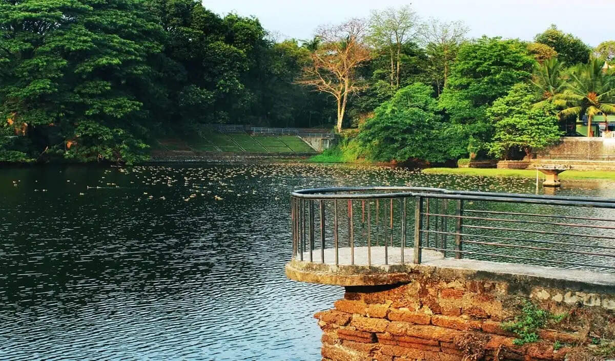 चम्फाई: मिजोरम का खूबसूरत शहर और फलों का कटोरा