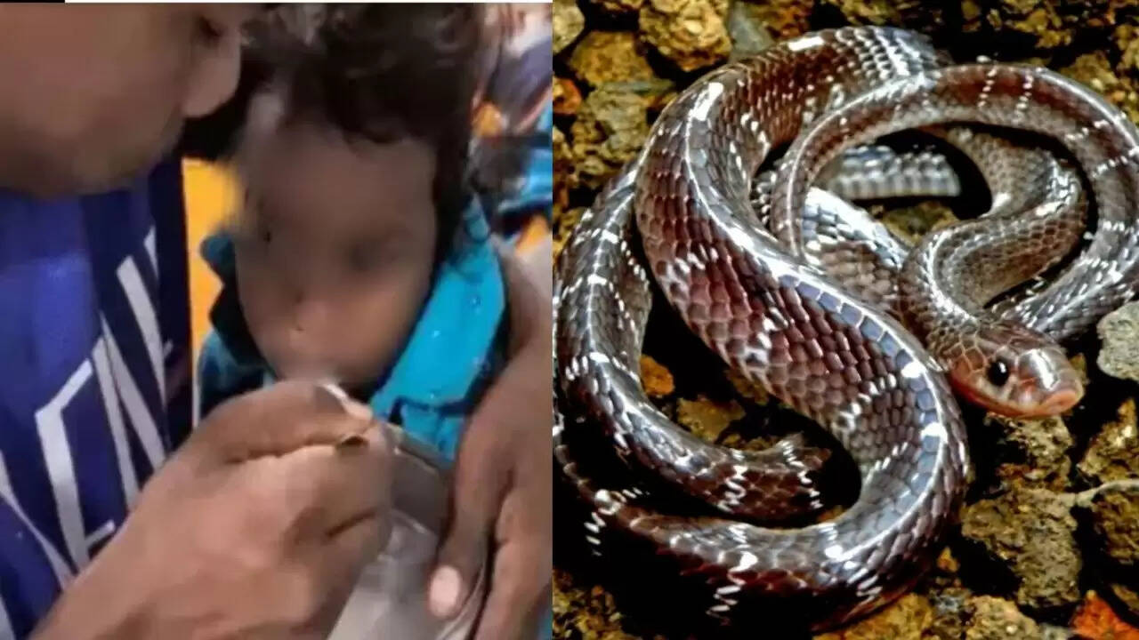 मध्य प्रदेश में सांप के काटने से बचाई गई तीन साल की बच्ची