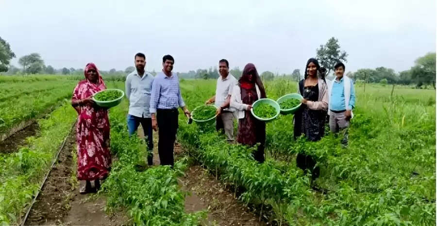 मध्‍य प्रदेश में वाटरशेड मिशन का नवाचार, कलस्टर आधारित सब्जी उत्पादन से आर्थिक रूप से सशक्त बन रहे किसान