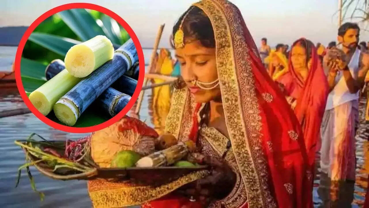 छठ पूजा में गन्ने के स्वास्थ्य लाभ और रेसिपी