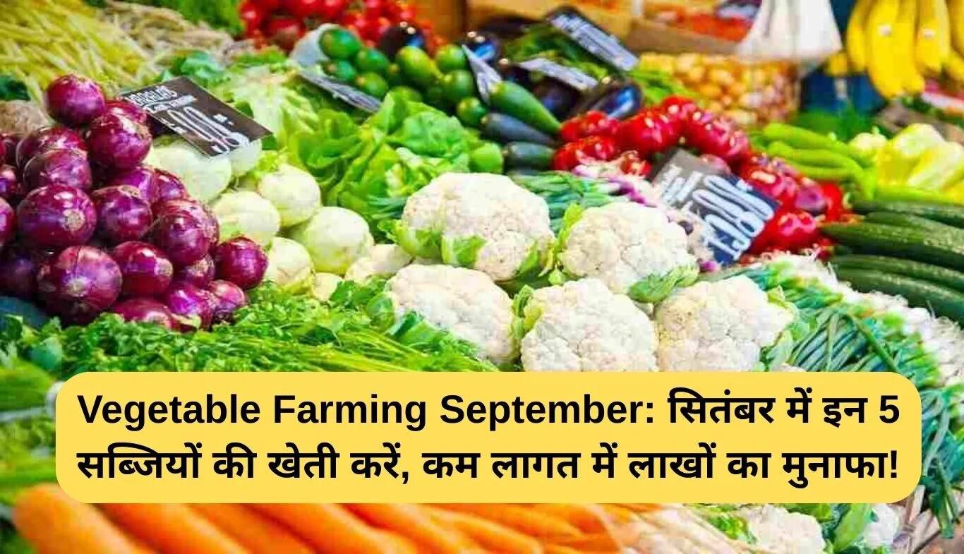 सितंबर में सब्जी खेती: कम लागत में लाखों का मुनाफा