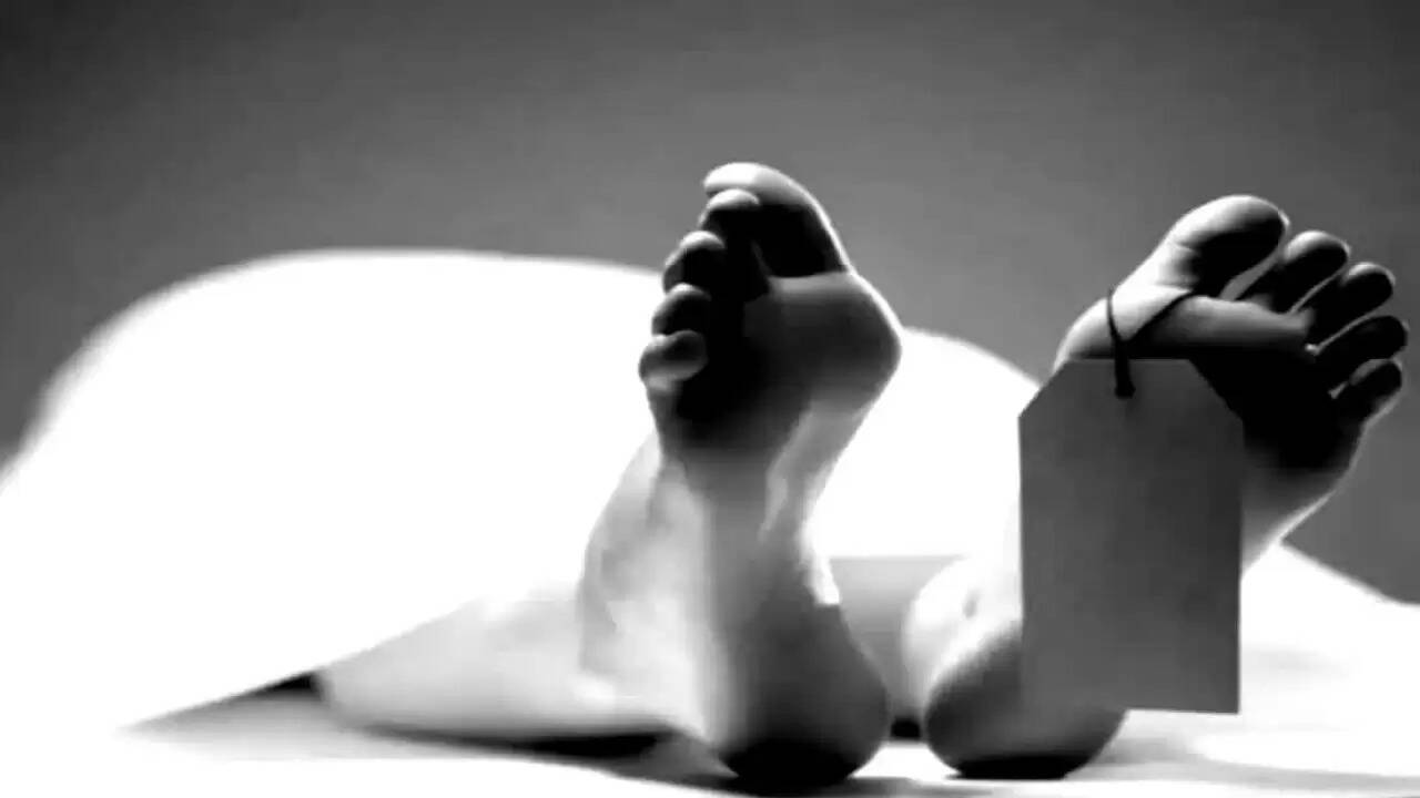 कोटा में बस दुर्घटना: तीन यात्रियों की मौत, 23 घायल