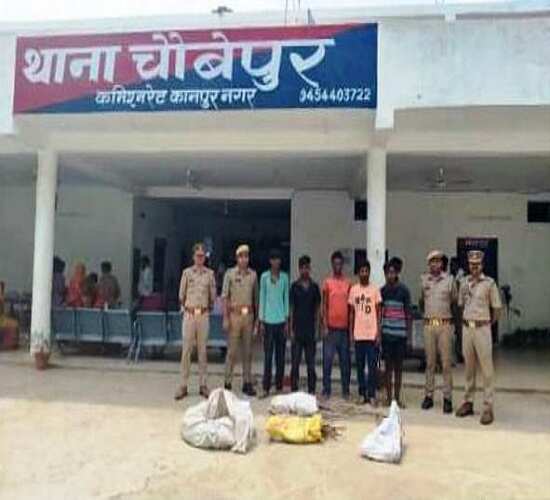 सरिया चोरी करने वाले गिरोह के पांच सदस्य गिरफ्तार