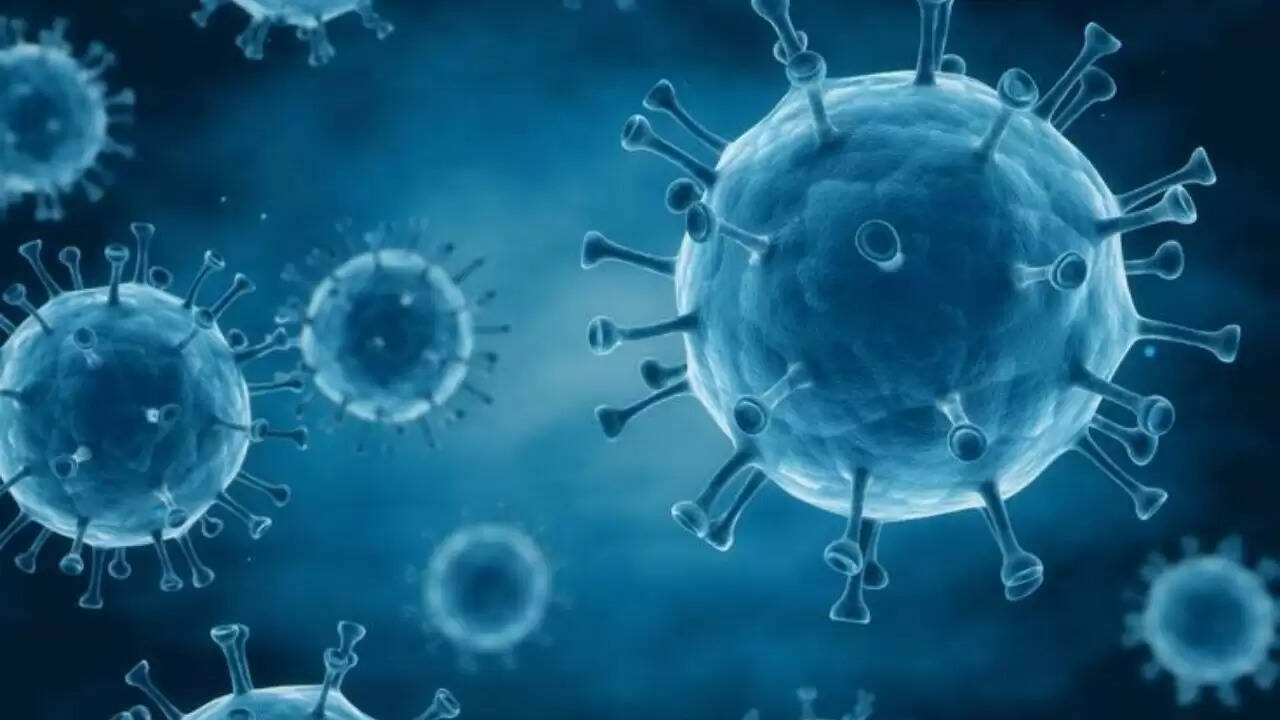 पश्चिम बंगाल में निपाह वायरस के मामले: जानें इसके लक्षण और बचाव के तरीके