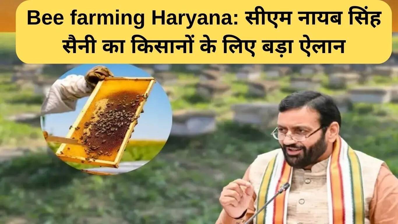 हरियाणा में मधुमक्खी पालन योजना: किसानों के लिए नई संभावनाएं