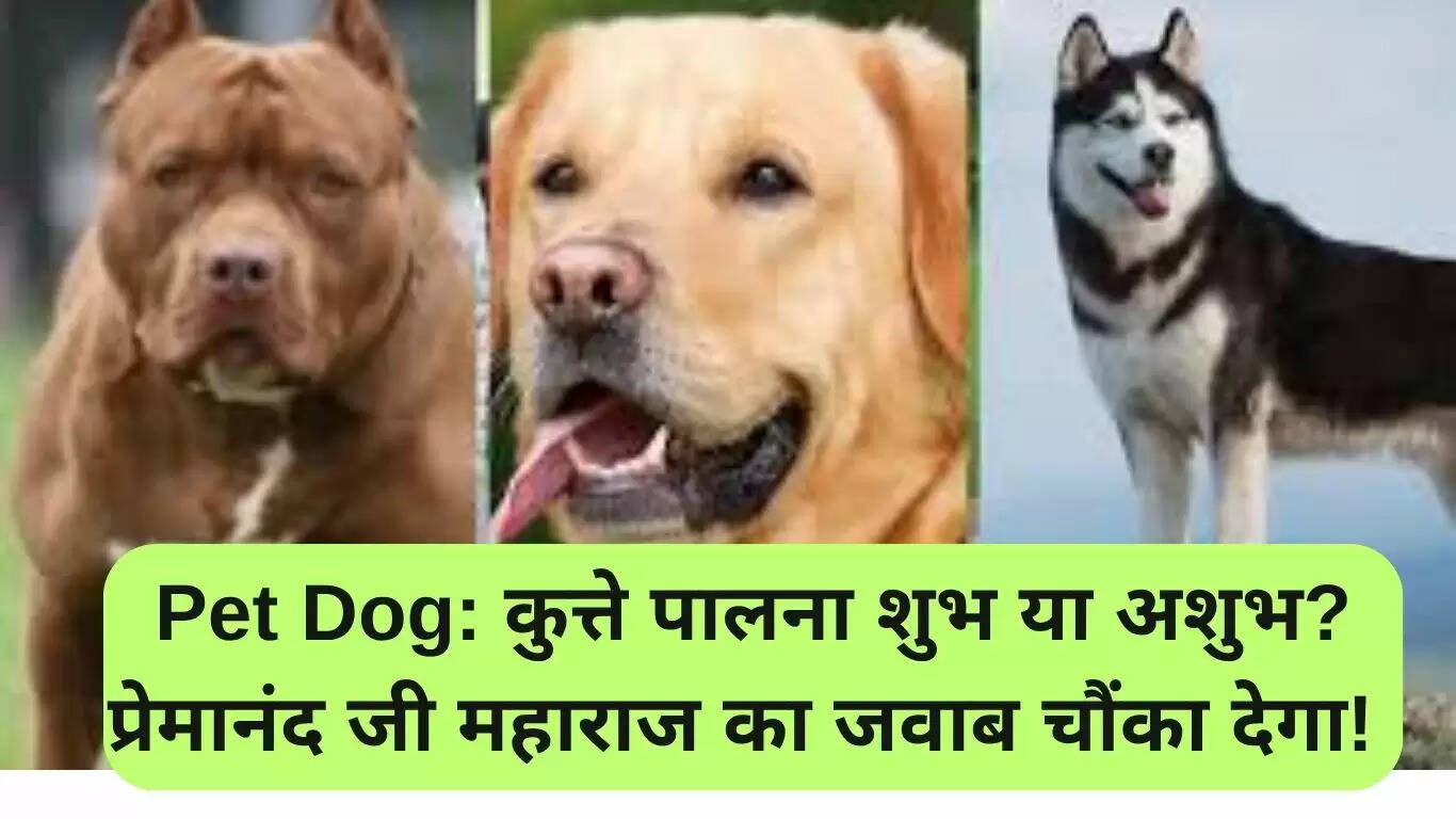 पालतू कुत्ता: क्या यह शुभ है या अशुभ? प्रेमानंद जी महाराज का अनोखा दृष्टिकोण