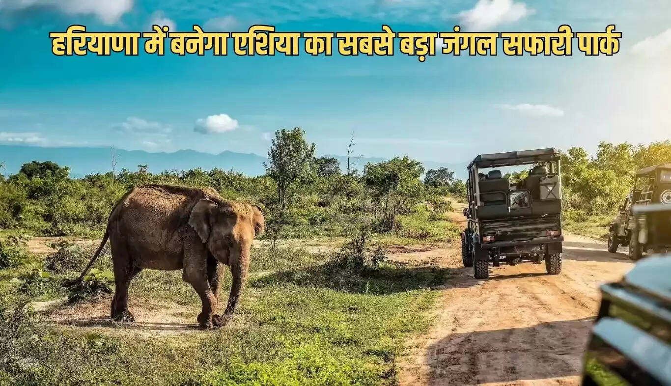 हरियाणा में बनेगा एशिया का सबसे बड़ा जंगल सफारी प्रोजेक्ट