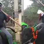 बिहार विधानसभा चुनाव 2025: भैंस पर सवार होकर मतदान करने वाला व्यक्ति बना चर्चा का केंद्र