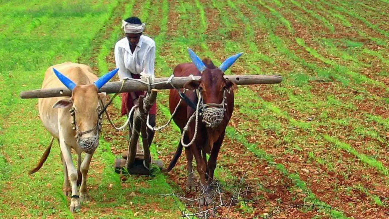 मई में खुदरा महंगाई 3% से नीचे, कृषि और ग्रामीण श्रमिकों के लिए राहत