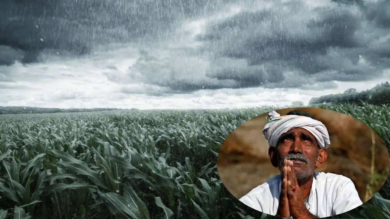 बिहार में बेमौसम बारिश से किसानों की फसलें प्रभावित, मुआवजे की उम्मीद