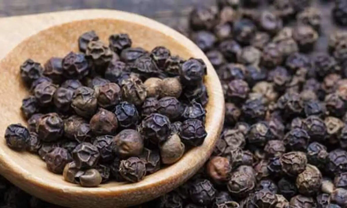 काली मिर्च के अद्भुत स्वास्थ्य लाभ और उपयोग