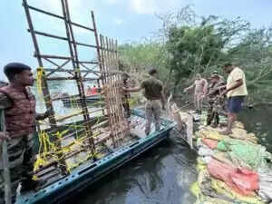 हरियाणा में बाढ़ की स्थिति: घग्घर और मारकंडा नदी का जलस्तर खतरनाक स्तर से ऊपर