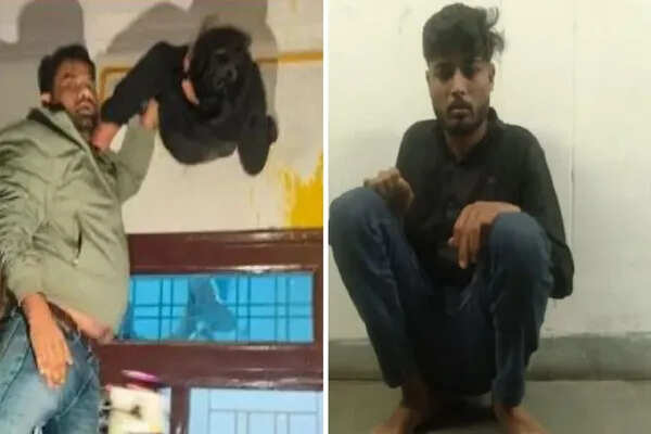 कोटा में चोर एग्जॉस्ट फैन के छेद में फंसा, पुलिस ने किया रेस्क्यू