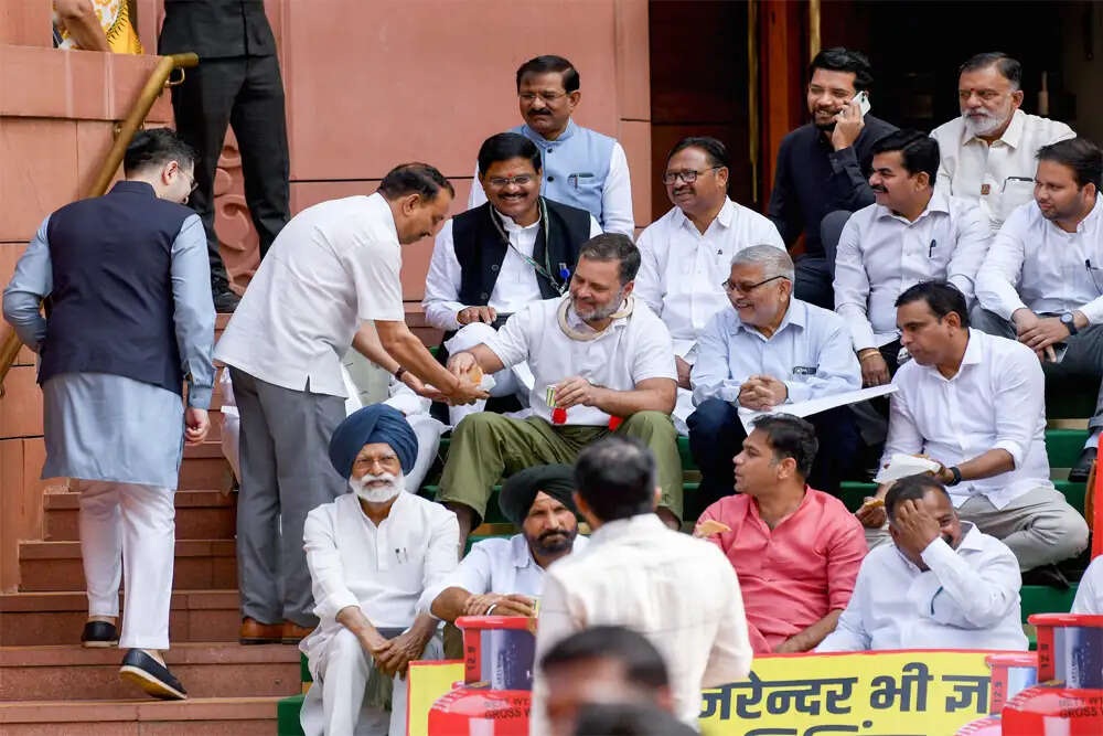 स्पीकर ओम बिरला के सामने दो महत्वपूर्ण मुद्दे: राहुल गांधी का मोशन और निलंबित सांसदों का प्रदर्शन