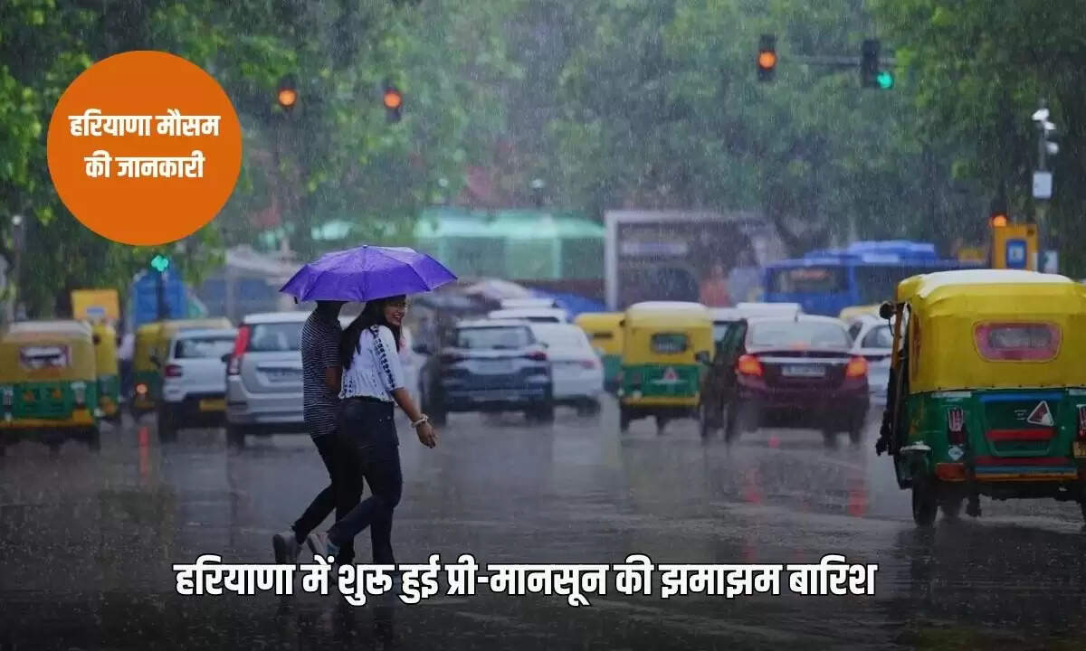 हरियाणा में प्री-मानसून बारिश का अलर्ट: कई जिलों में हुई तेज बारिश