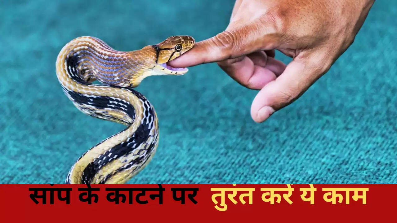 सांप काटने पर तुरंत क्या करें: जानें आवश्यक कदम