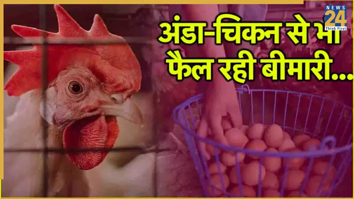 नोएडा में बर्ड फ्लू के मामलों के बाद प्रशासन ने बढ़ाई सतर्कता