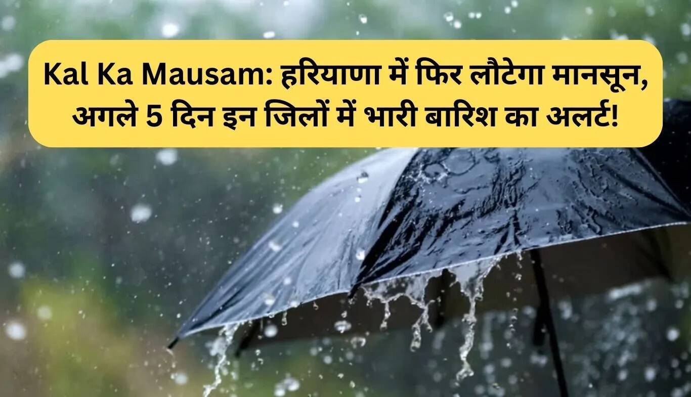 हरियाणा में मानसून की वापसी: अगले 5 दिनों में भारी बारिश का अलर्ट