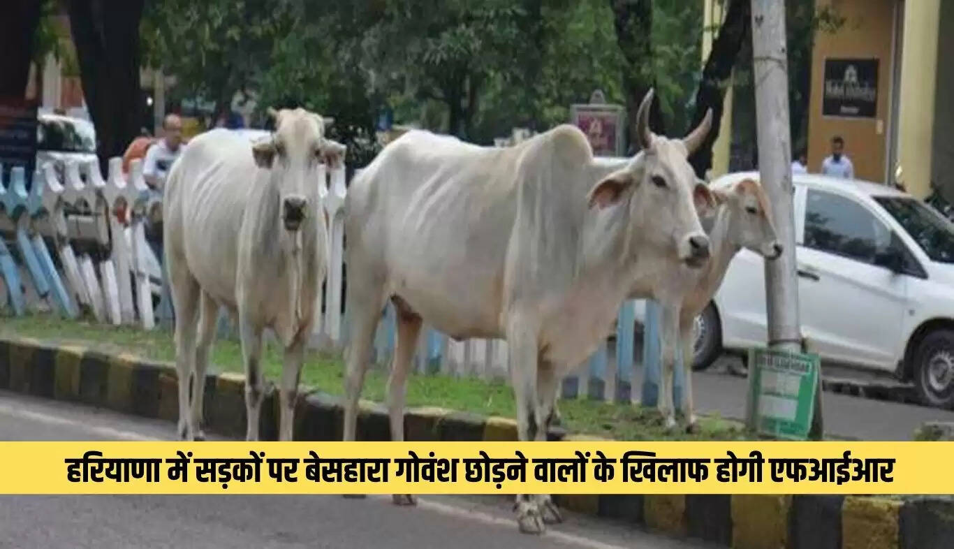 हरियाणा सरकार का नया नियम: सड़कों पर गोवंश छोड़ने पर होगी एफआईआर