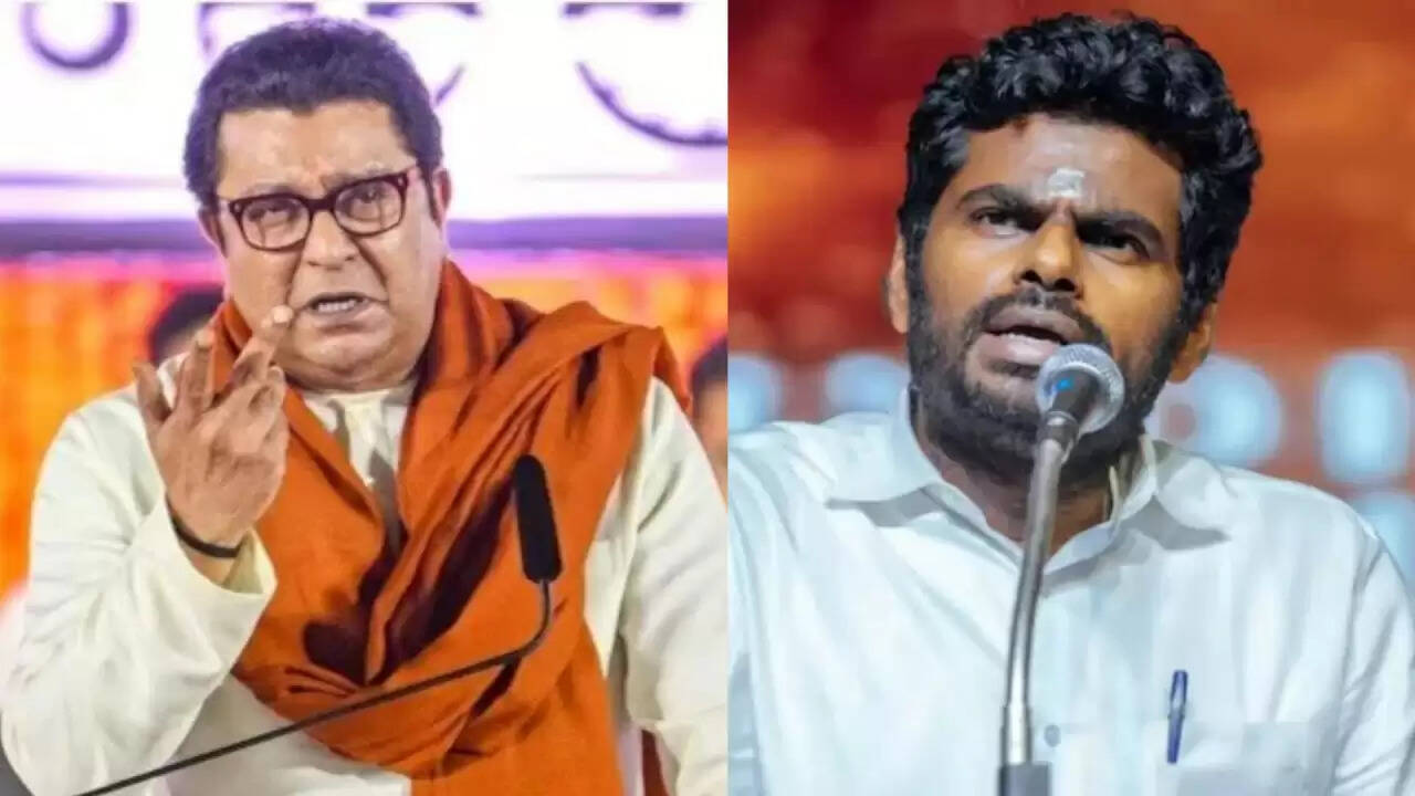 क्या भाजपा नेता के. अनामलाई को धमकाने वाले राज ठाकरे के बयान का असर होगा?